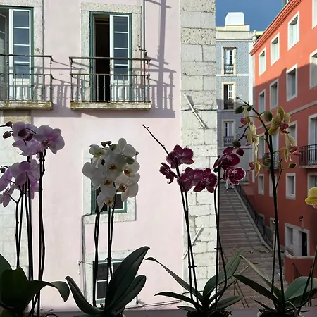 Azzulea Rossio * Лиссабон